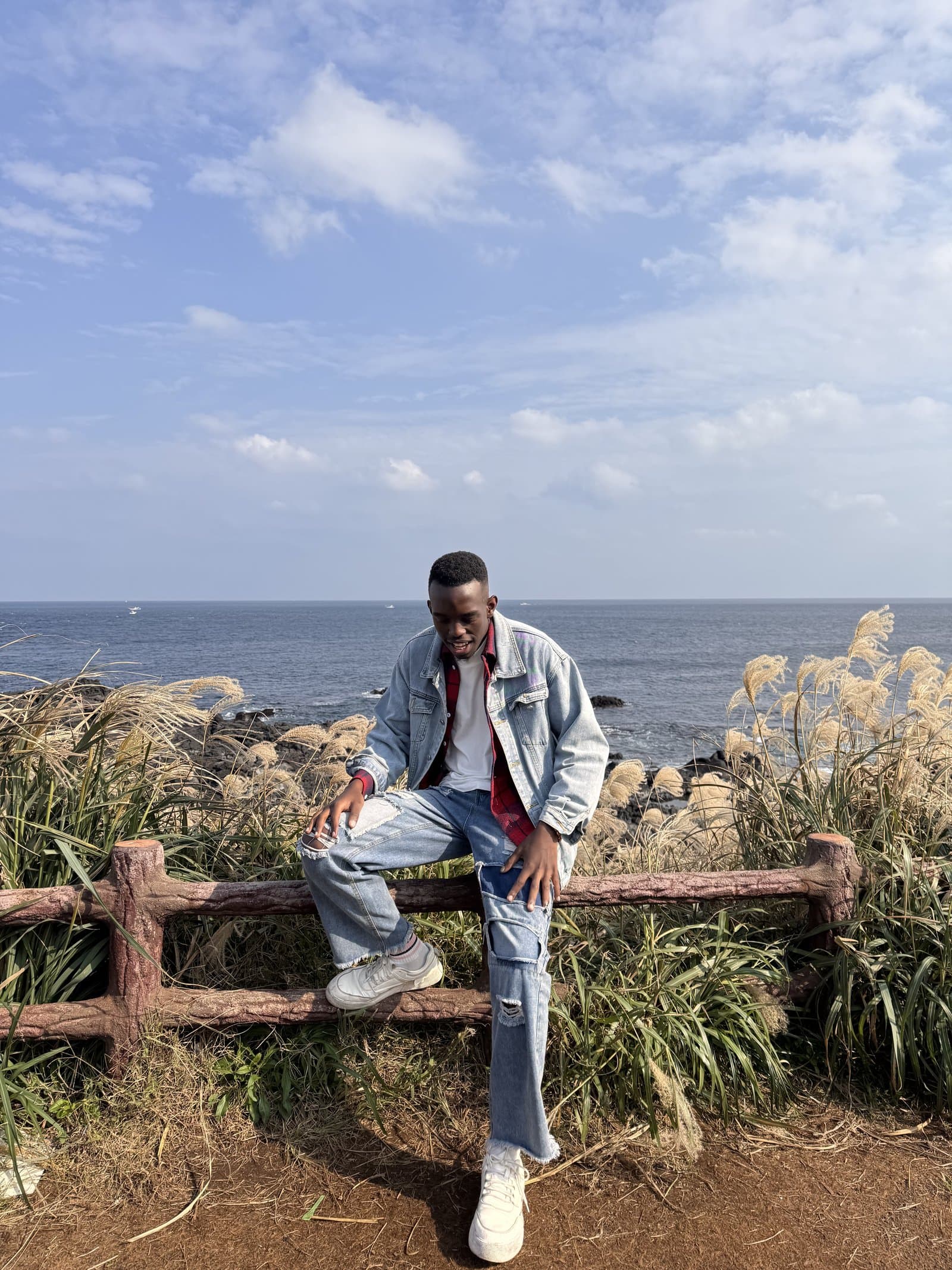 Jeju Island coast